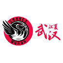 主队图片
