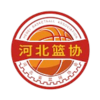 主队图片